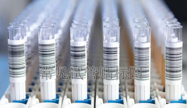 ԇ���N��(bi��o)����Ʒ�D